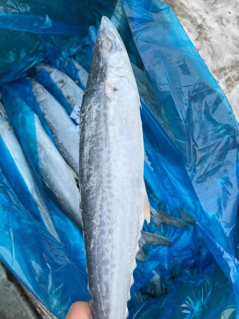 丹东水产品加工行业:传统与现代交织的精彩篇章